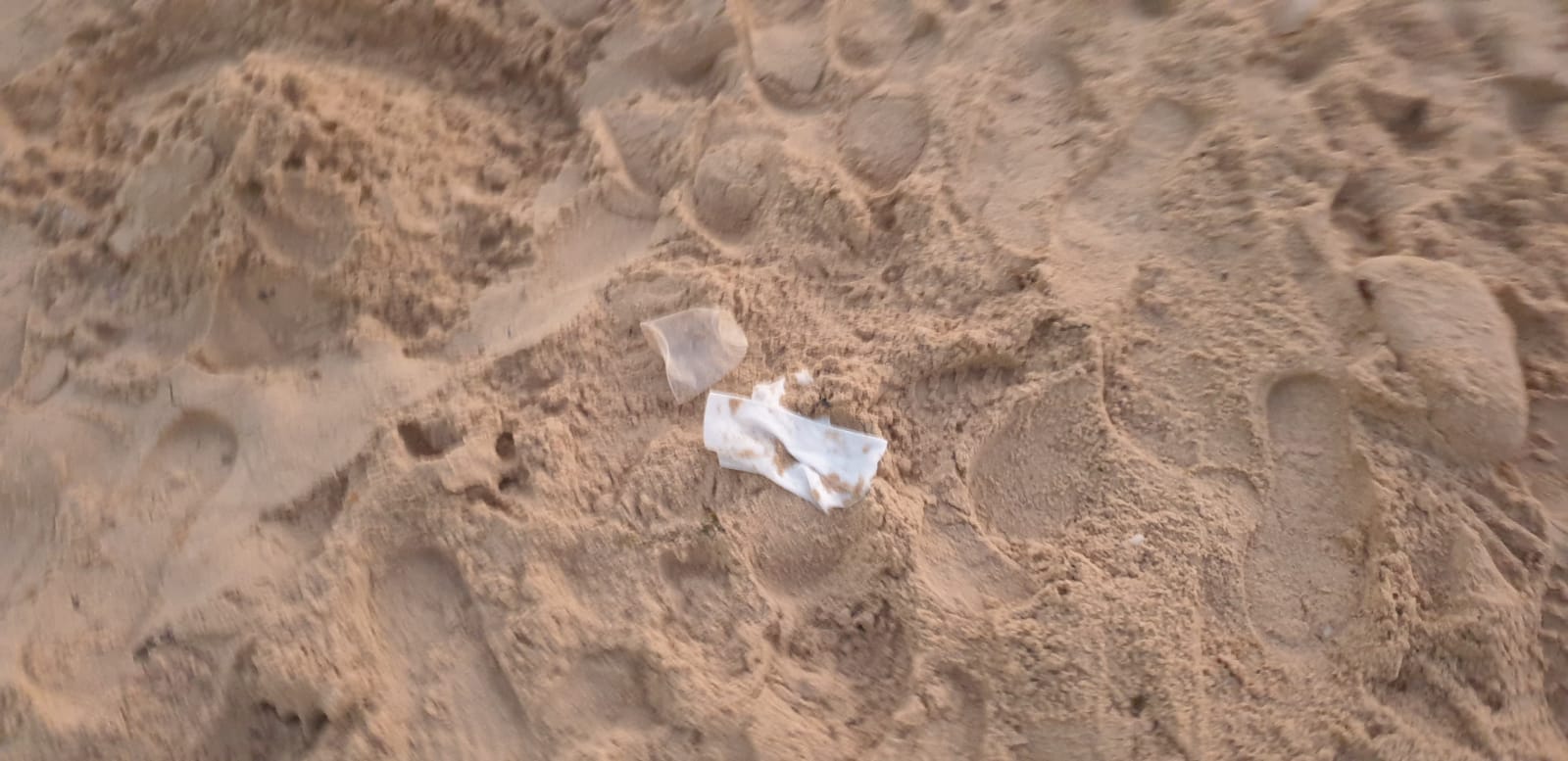 WhatsApp Image 2020-08-03 at 7.58.49 PM (1).jpeg.jpeg